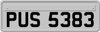 PUS5383