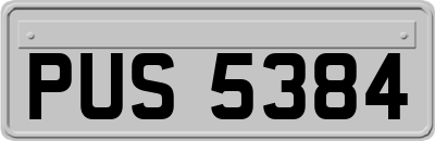 PUS5384