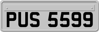 PUS5599