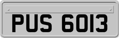 PUS6013
