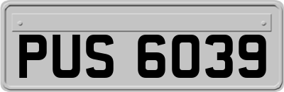 PUS6039