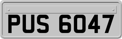 PUS6047