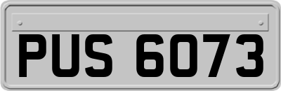PUS6073