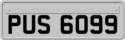PUS6099