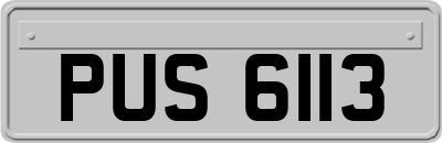 PUS6113