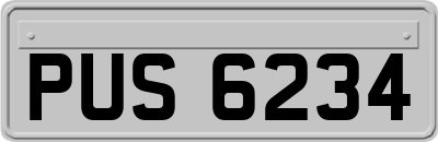 PUS6234