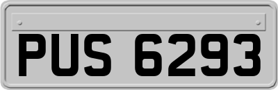 PUS6293
