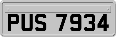 PUS7934