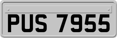 PUS7955