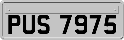 PUS7975