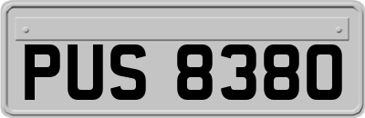 PUS8380