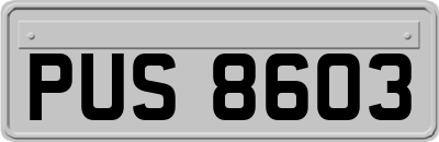 PUS8603