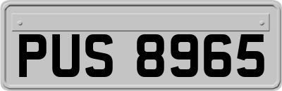 PUS8965