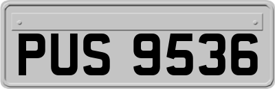 PUS9536
