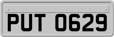 PUT0629