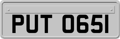 PUT0651