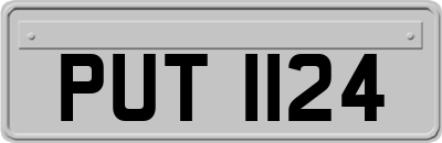 PUT1124