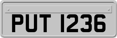 PUT1236