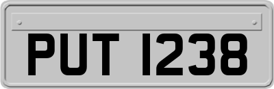 PUT1238