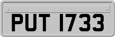 PUT1733