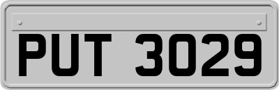 PUT3029