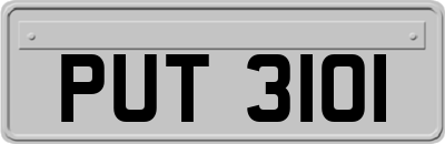 PUT3101