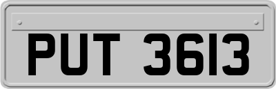 PUT3613