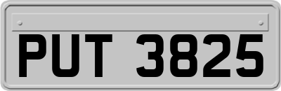 PUT3825