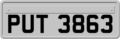 PUT3863