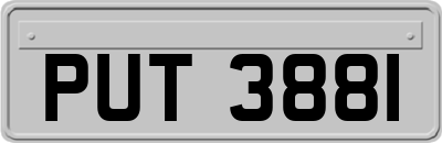 PUT3881