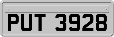 PUT3928