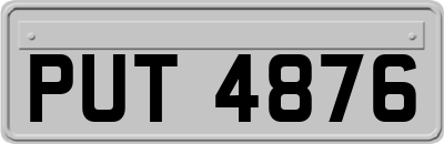 PUT4876