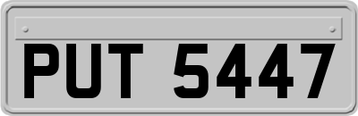 PUT5447