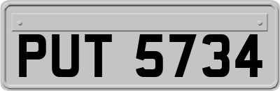PUT5734