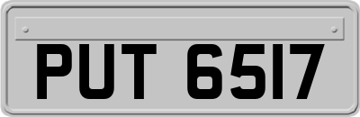 PUT6517