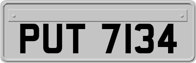 PUT7134