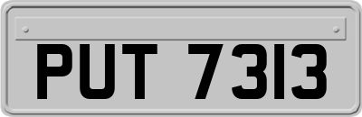PUT7313