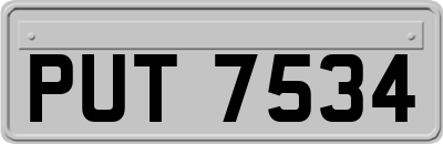 PUT7534