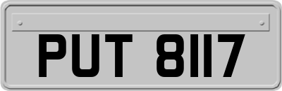 PUT8117
