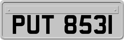 PUT8531
