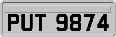 PUT9874