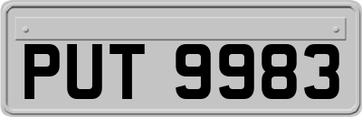 PUT9983