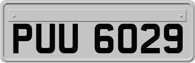 PUU6029