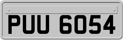PUU6054