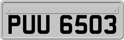 PUU6503