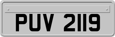 PUV2119