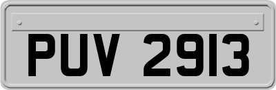 PUV2913