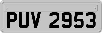 PUV2953