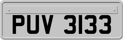 PUV3133