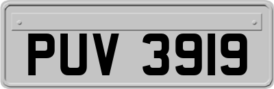 PUV3919